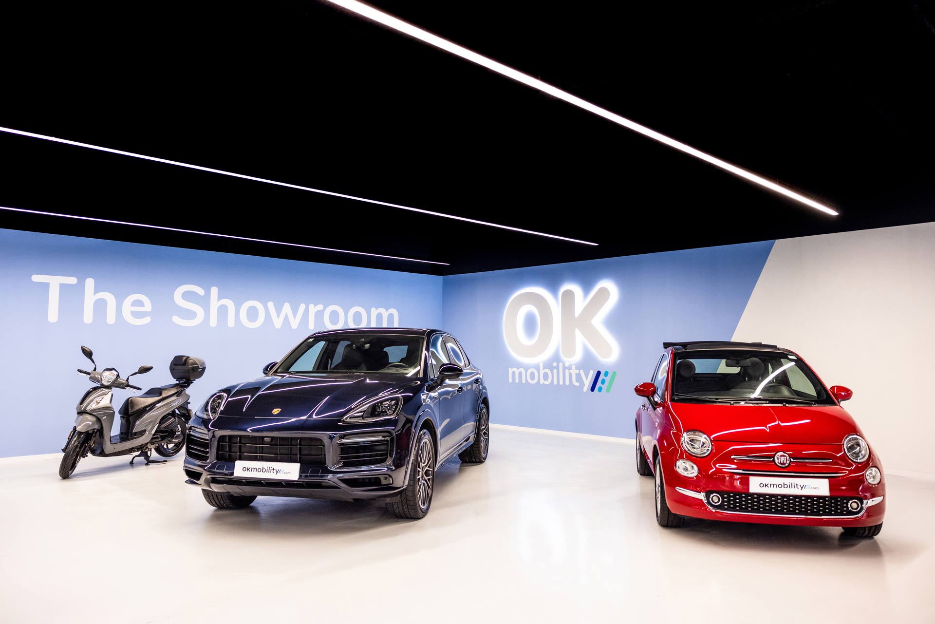 Showroom Calonge