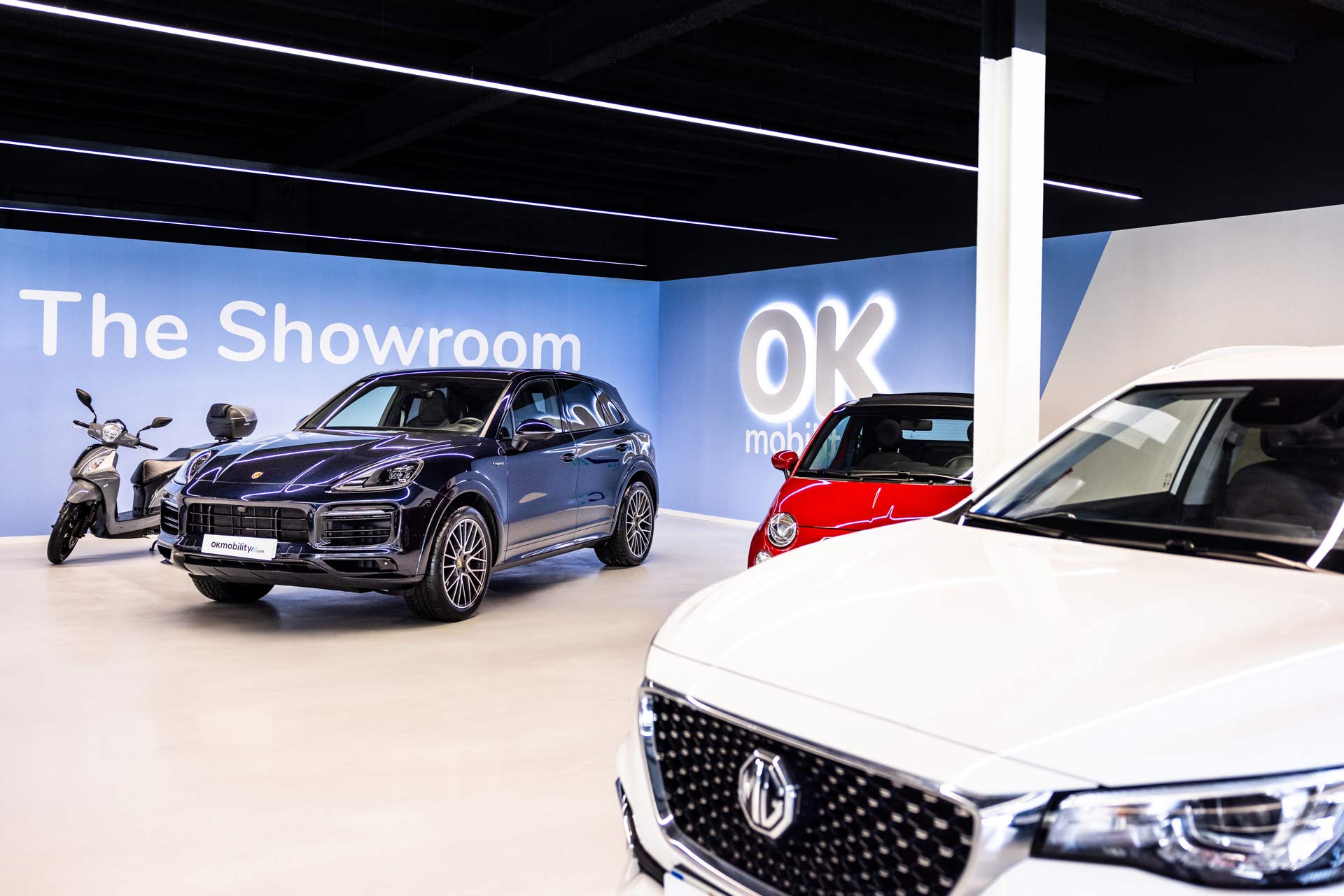 Showroom Calonge